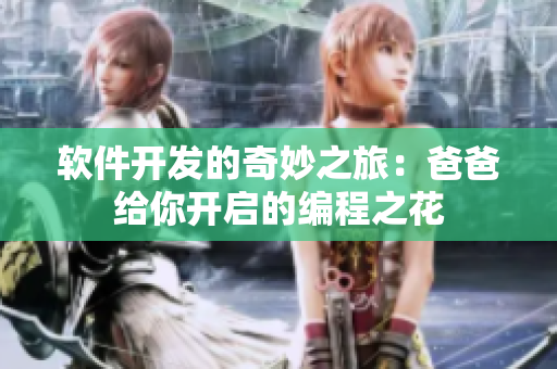 软件开发的奇妙之旅：爸爸给你开启的编程之花