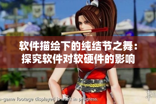 软件描绘下的纯结节之舞：探究软件对软硬件的影响
