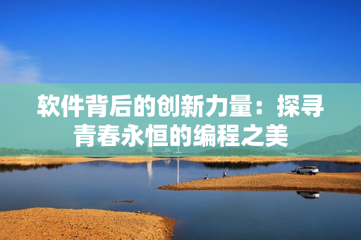 软件背后的创新力量：探寻青春永恒的编程之美