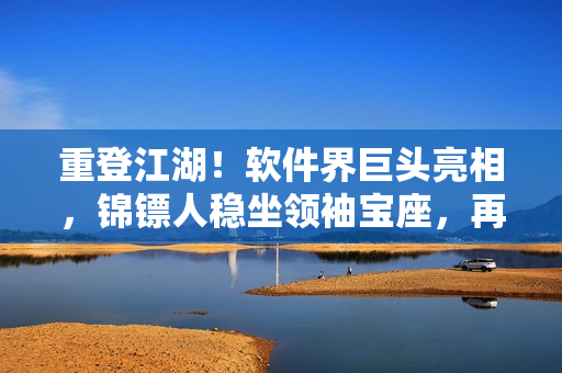 重登江湖!软件界巨头亮相,锦镖人稳坐领袖宝座,再夺辉煌新高! 重登江湖!软件界巨头亮相,锦镖人稳坐领袖宝座,再夺辉煌新高!
