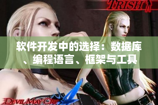 软件开发中的选择:数据库、编程语言、框架与工具 软件开发中的选择:数据库、编程语言、框架与工具