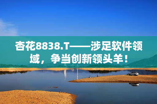 杏花8838.T——涉足软件领域,争当创新领头羊! 杏花8838.T——涉足软件领域,争当创新领头羊!